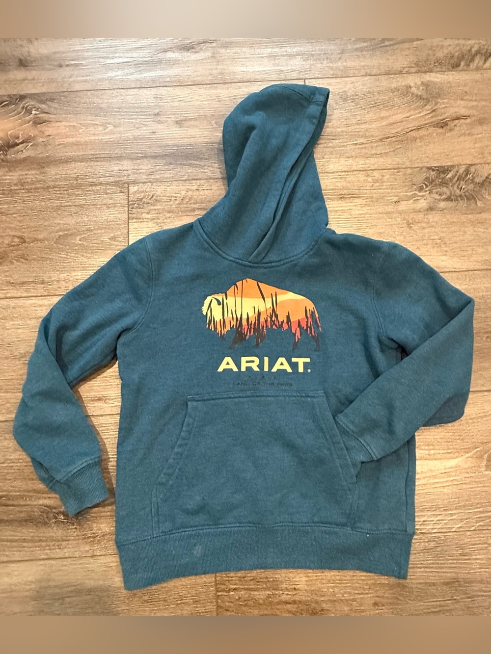 Ariat Teal Pullover Hoodie with ‘land of the free’ Bison Graphic